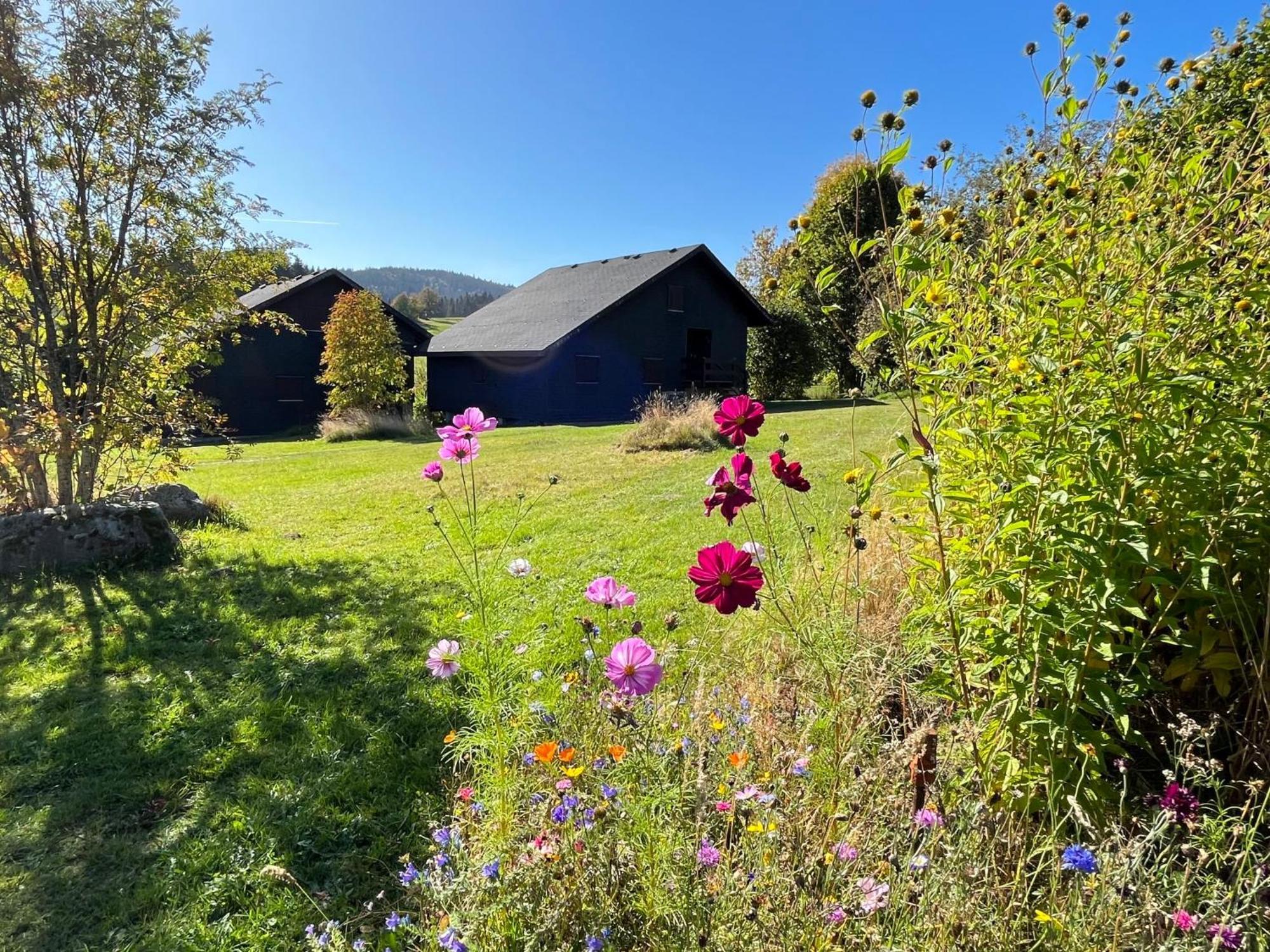 Holiday Home Rechbergblick - Beu302 By Interhome Bernau im Schwarzwald Bagian luar foto